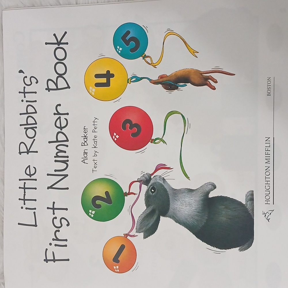 Big Book Little Rabbits' First Number - Picture 4 of 5